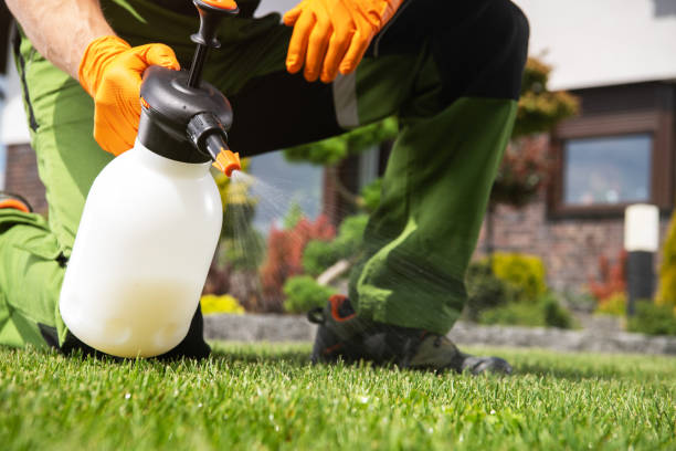 Best Emergency Pest Control  in Wanamingo, MN