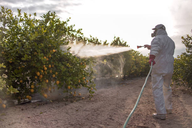 Best Exterminator Services  in Wanamingo, MN