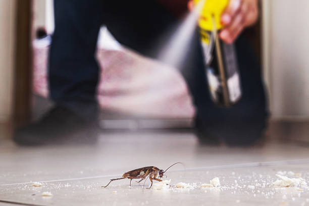 Pest Prevention Services in Wanamingo, MN